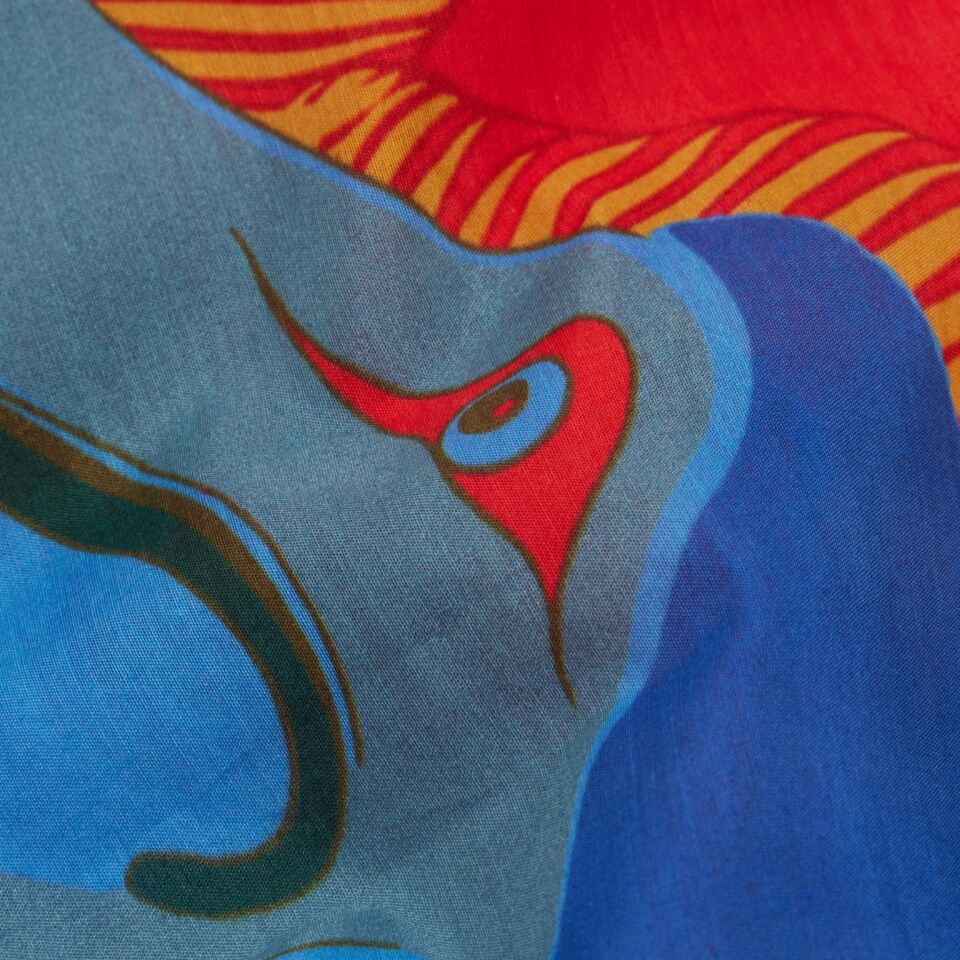 Dodo'nun Cenneti / Kırmızı ve Mavi