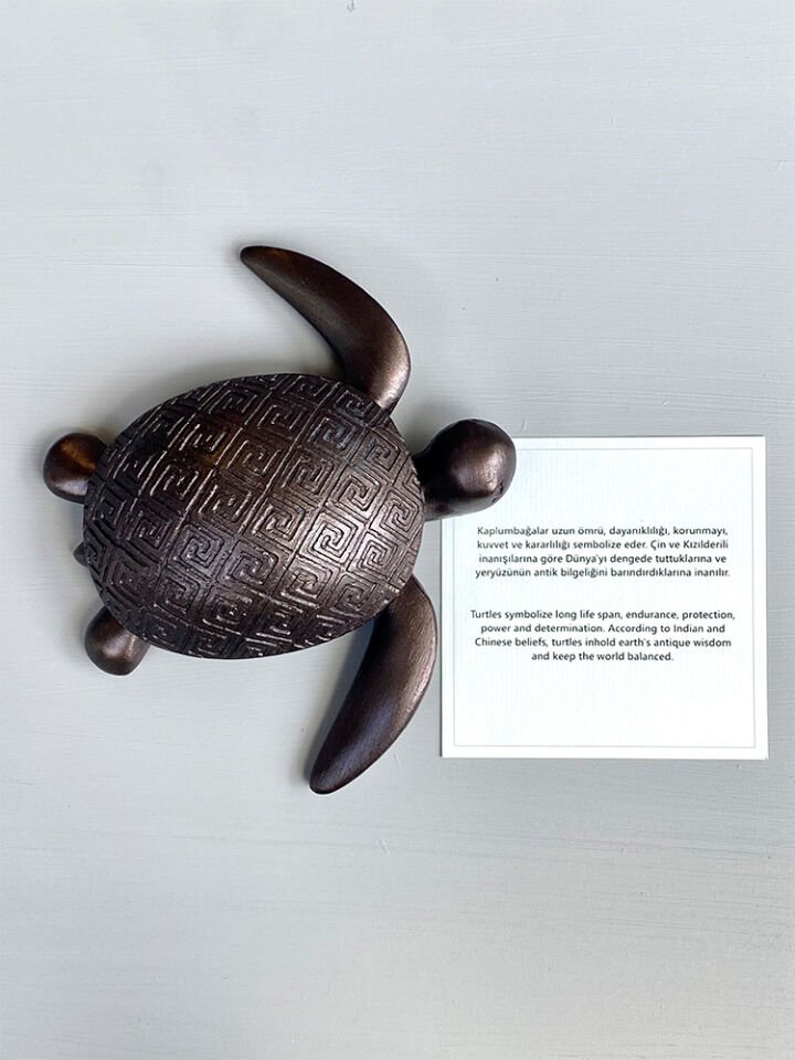 Küçük Kaplumbağa - Bronz
