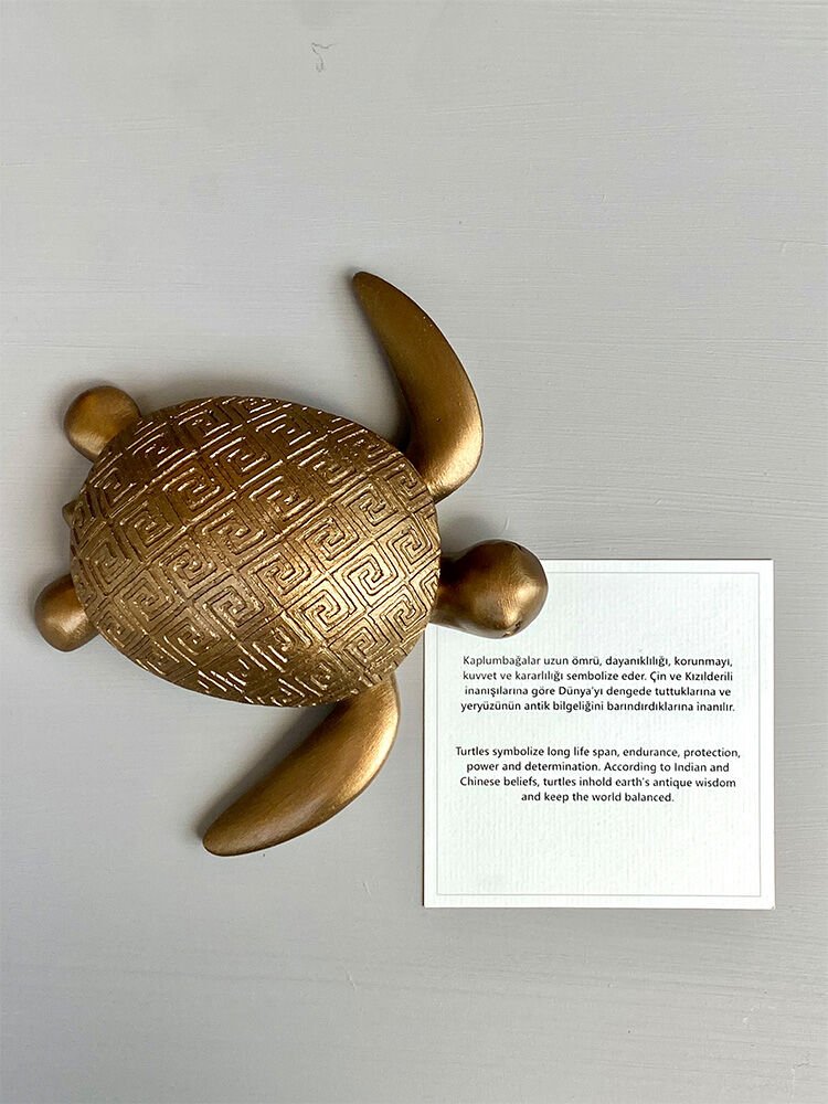 Küçük Kaplumbağa - Gold