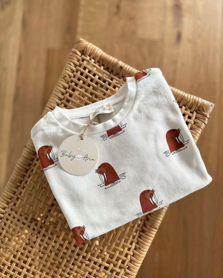 Monk Seal Set - Beyaz