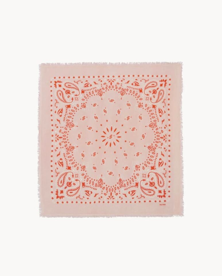 Small Bandana Hachiko Bico skin